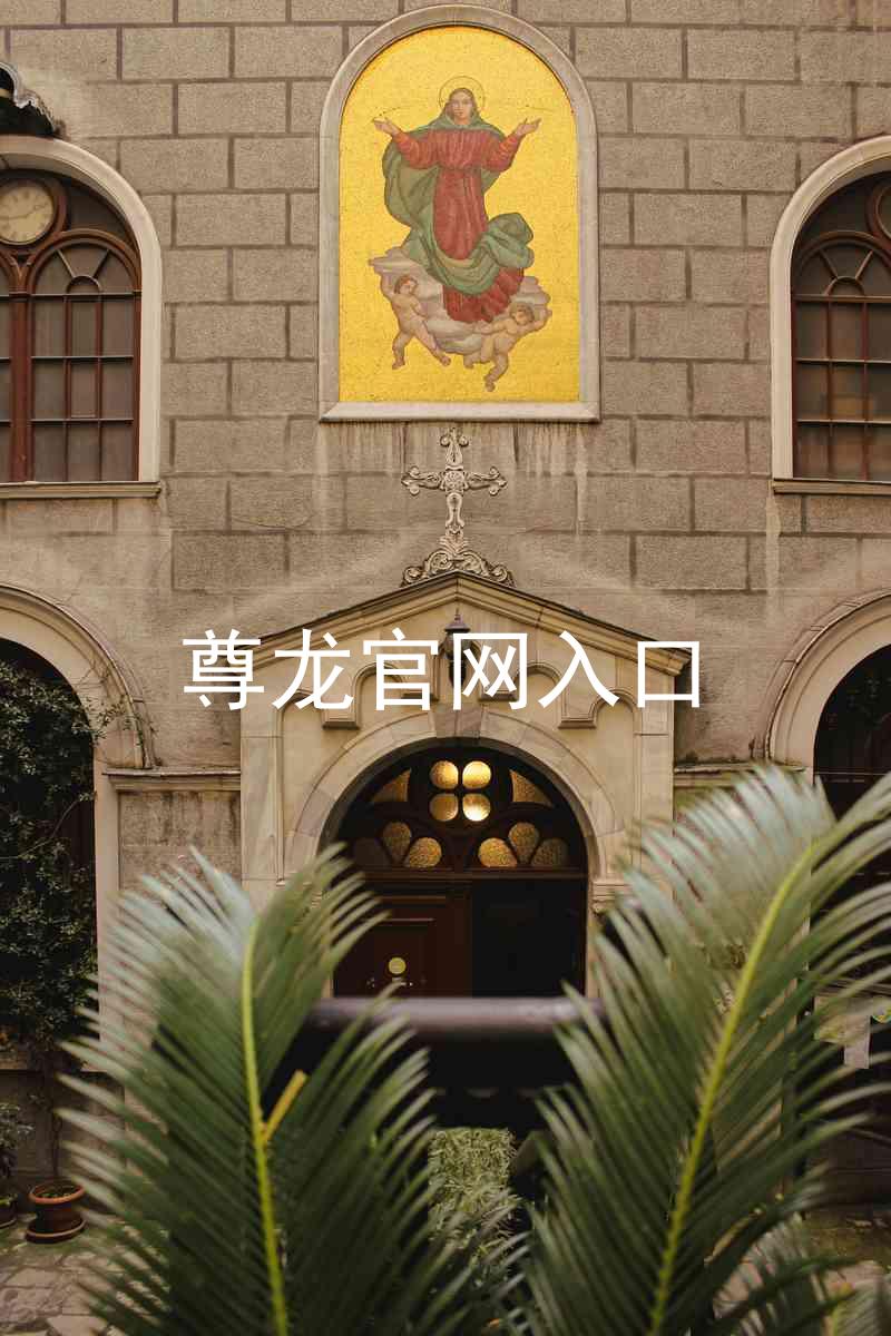 尊龙官网入口