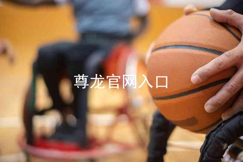 尊龙官网入口