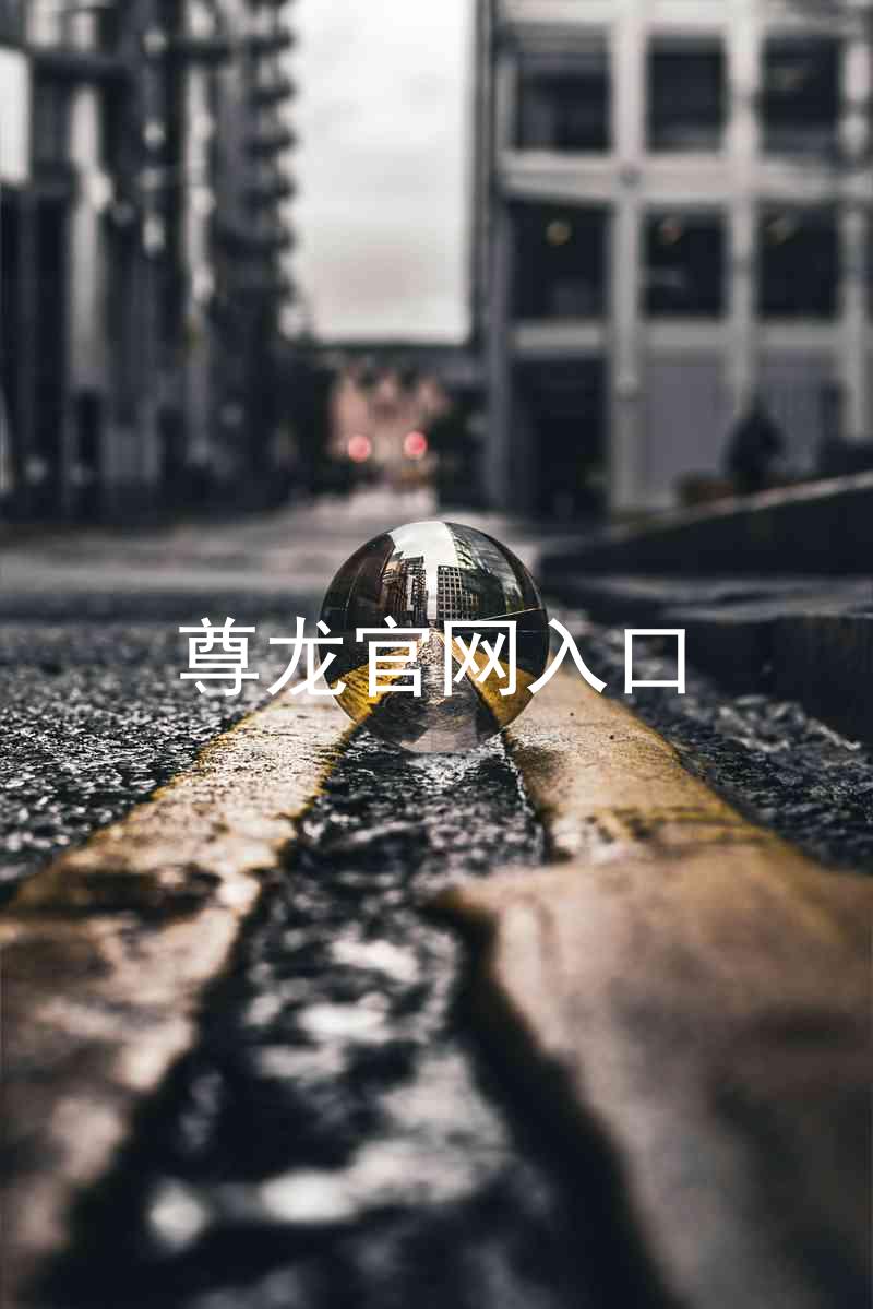 尊龙官网入口