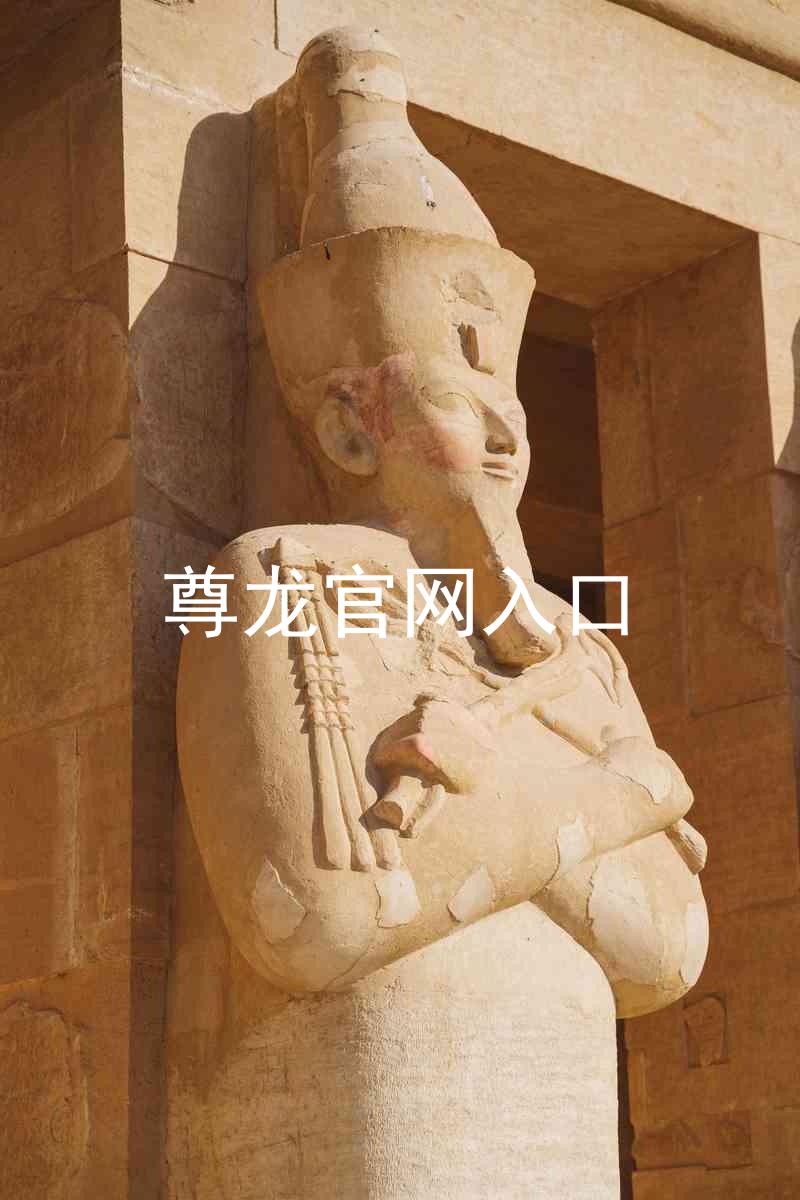 尊龙官网入口