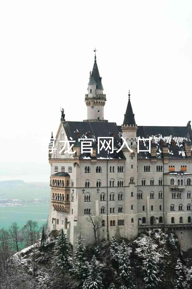 尊龙官网入口