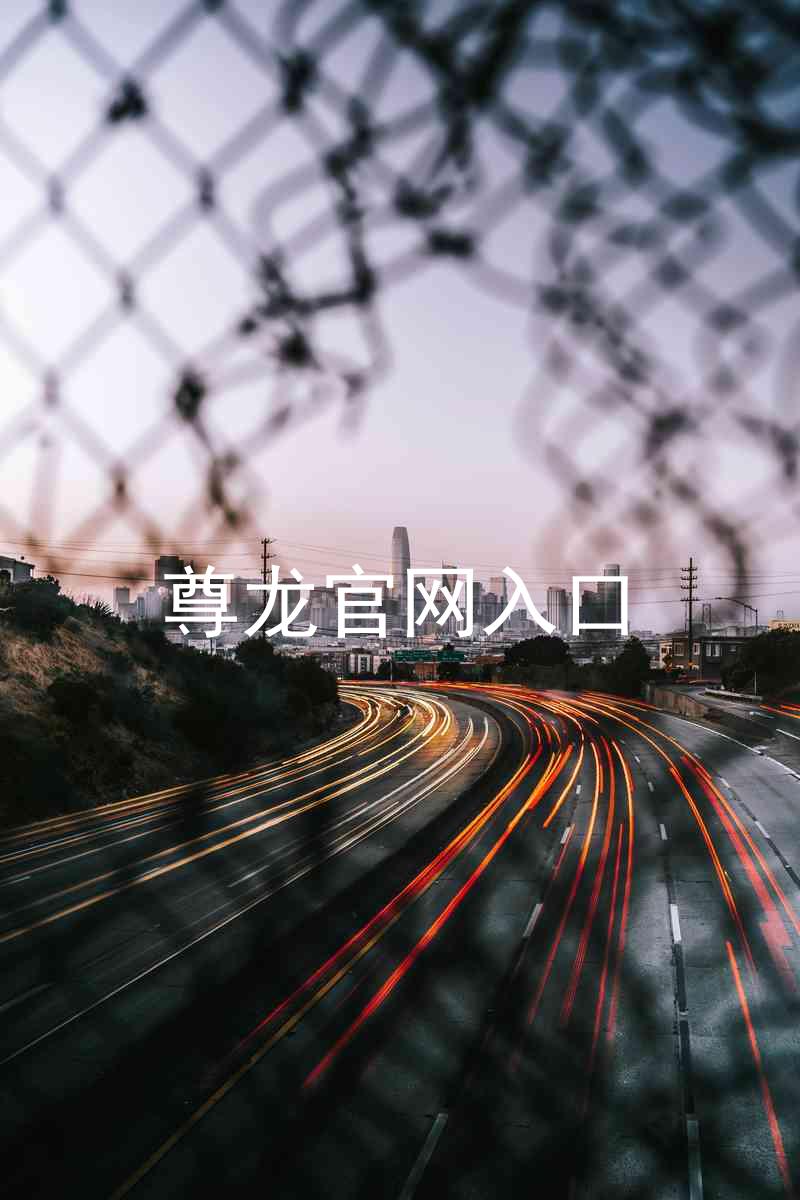 尊龙官网入口