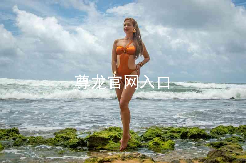 尊龙官网入口